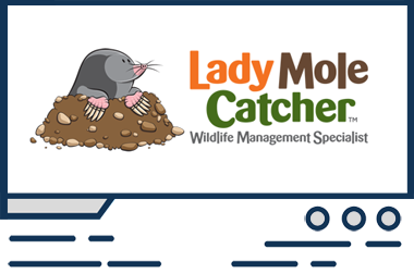 Featured web design Lady Mole Catcher